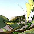 Green grasshopper with long antennae perched on green leaves and branch