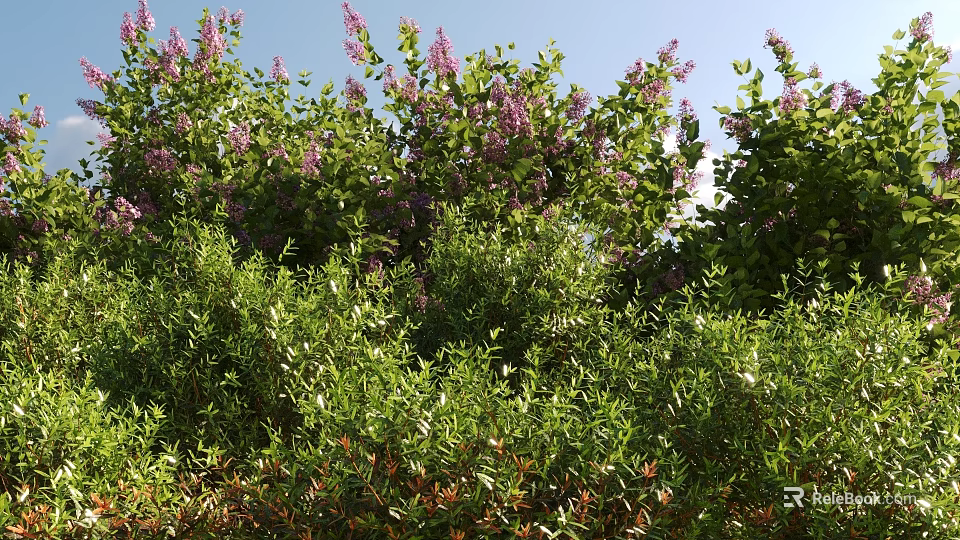 Lush Green Shrubs With Vibrant Purple Flowers Thriving In Sunny Garden Landscape 3d model 