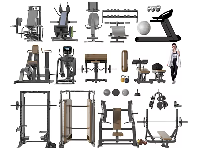Diverse Fitness Equipment Collection Including Treadmill Dumbbells Benches Weight Racks And Machines 3d model