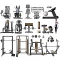Diverse Fitness Equipment Collection Including Treadmill Dumbbells Benches Weight Racks And Machines
