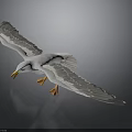 White Seagull Flying with Spread Wings Yellow Beak and Orange Feet Against Gray Background