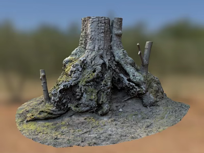 Tall Tree Stump With Rough Bark Mossy Surface And Small Branches In Natural Outdoor Setting 3d model
