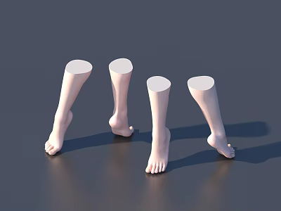 Woman's Leg Models from Knee to Foot in Various Poses on Gray Background 3d model