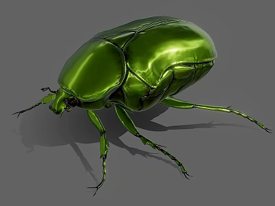 Shiny Green Beetle With Metallic Carapace And Long Legs On Gray Background 3d model