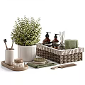 Stylish Bathroom Accessories With Plants And Woven Basket
