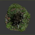 Natural Tree Stump Decorative Piece With Textured Surface Green Moss And Small Stones