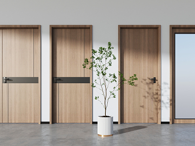 Modern swing door model