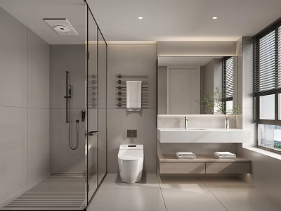 Modern Bathroom Interior Design With Glass Shower White Toilet And Mirrored Vanity 3d model