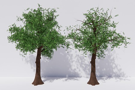 modern trees maple poplar arbor plant 3d model