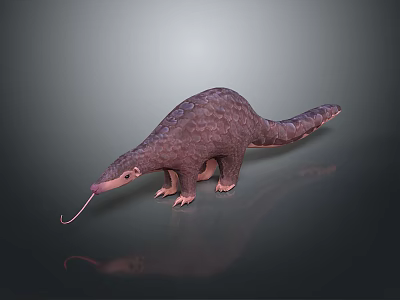 Brown Anteater With Scaly Skin Long Snout And Extending Tongue On Gray Reflective Background 3d model