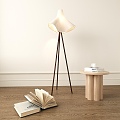 Lamp Fixture Floor Lamp Lighting Lamp Decorative Lamp 3d model