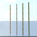 Different Colored Bamboo Plants Standing On Light Surface With Blue Sky And White Clouds