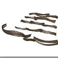 Curved Brown Organ And Hair Structures With Striped Patterns And Textured Surfaces