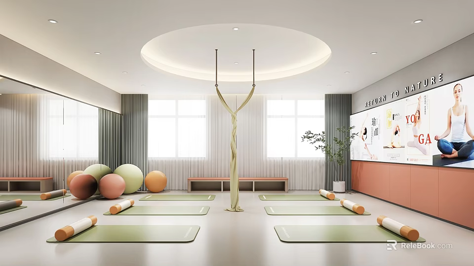 Yoga Studio Fitness Space With Yoga Mats Fitness Balls Bright Windows Green Plant Wall Decor 3d model 