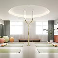 Yoga Studio Fitness Space With Yoga Mats Fitness Balls Bright Windows Green Plant Wall Decor