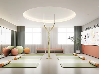 Yoga Studio Fitness Space With Yoga Mats Fitness Balls Bright Windows Green Plant Wall Decor 3d model
