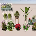 Diverse Potted Bonsai Plants With Wall Hanging Baskets And Metal Stand Planters