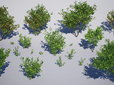 Various Types of Trees with Green Foliage and Different Sizes in Natural Setting 3d model