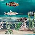Various Aquatic Animals Swimming In Colorful Underwater Scene With Coral Reef And Green Seaweed