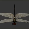 Vibrant Dragonfly With Green Body Red Head And Transparent Wings On Dark Background