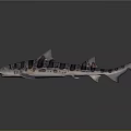 Detailed Silver Shark Model With Spots On Dark Background Showing Reflection