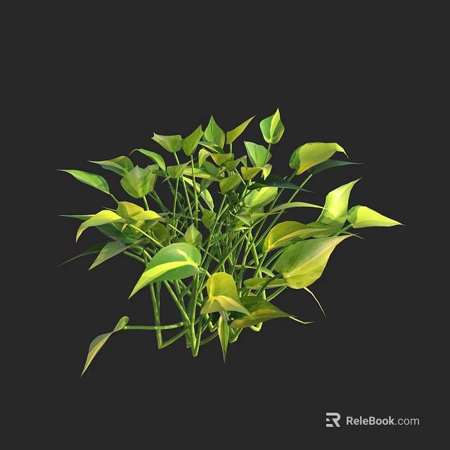 Lush Green Plant With Yellow Variegated Leaves And Dense Foliage 3d model 
