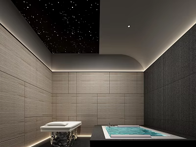Luxury Modern SPA Sauna Room With Starry Ceiling Light Dark Walls White Platform And Bathtub 3d model