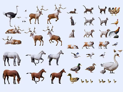 Reptiles Among Various Animals Including Deer Cats Dogs Horses And Birds 3d model