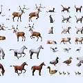 Reptiles Among Various Animals Including Deer Cats Dogs Horses And Birds