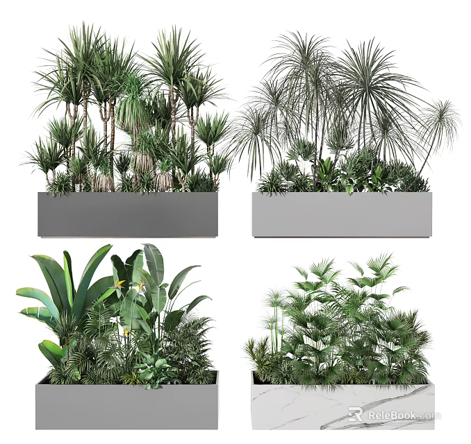 Varied Bonsai Potted Plants In Rectangular Planters With Lush Green Foliage 3d model