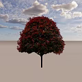 Vibrant Arbor With Red And Green Leaves And Rounded Crown Shape 3d model