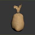 Brown Hemp Bag With Green Dollar Sign For Daily Living Use
