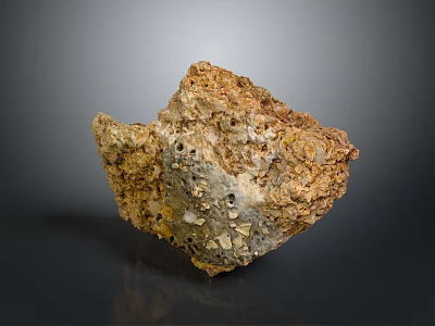 Natural Wood Stone Material With Porous Textured Surface And Earthy Tones 3d model
