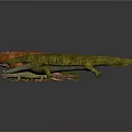 Colorful Reptile Models of Various Species Arranged in Row on Gray Background