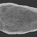 Wood Stone Material Natural Large Raw Stone With Human Silhouette Size Comparison
