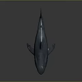 Detailed Blue Shark With Red Markings On Body Against Gray Background