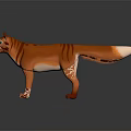 Orange Striped Cat With Green Eyes White Paws White Tail Tip On Black Reflective Background
