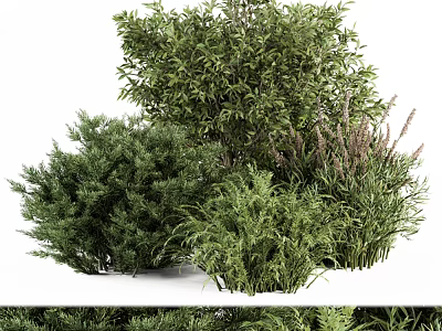 Lush Green Landscaping Shrubs With Diverse Foliage And Healthy Growth 3d model