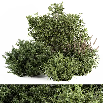 Lush Green Landscaping Shrubs With Diverse Foliage And Healthy Growth 3d model