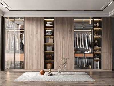 Modern wardrobe combination 3d model