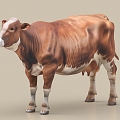 cattle buffalo cow 3d model