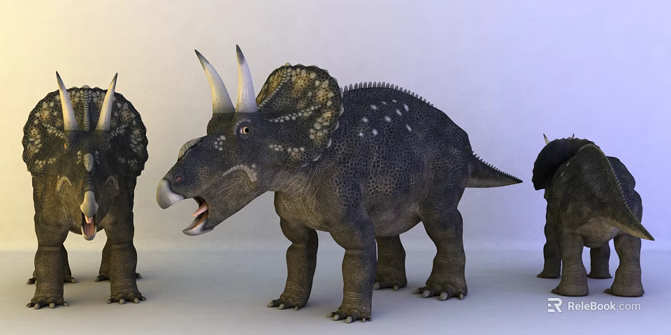 Realistic Triceratops Reptile Model With Horned Frill Skin Texture And Multiple Standing Figures 3d model 