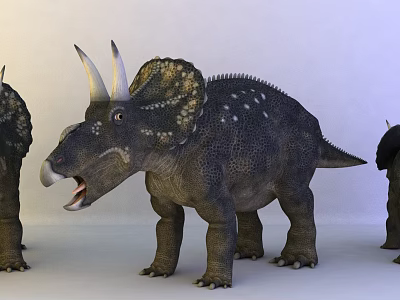 Realistic Triceratops Reptile Model With Horned Frill Skin Texture And Multiple Standing Figures 3d model