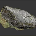 Natural Wood Stone With Moss Covered Textured Gray Green Surface For Garden Decor