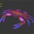 Toy Crab with blue legs orange spotted back pink parts and green claws