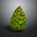 Green Pine Cone Plant Organ with Red Spots and Hair Like Scales on Gray Background