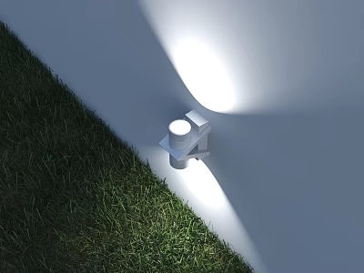 Wall Mounted Outdoor Light Providing Bright Illumination On Exterior Wall And Green Grass 3d model