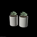 Technology Exhibition Hall Interior With Two White Flower Pots And Green Succulent Plants