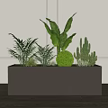 Rectangular Flower Planter with Ferns Large Leaf Plants Round Greenery and Cacti for Indoor Decor
