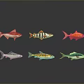 Six Colorful Fish with Different Patterns on Dark Background with Reflections